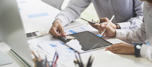 Market Establishment 